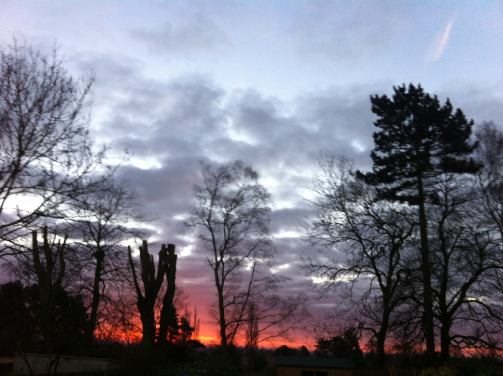 Fiery Dawn