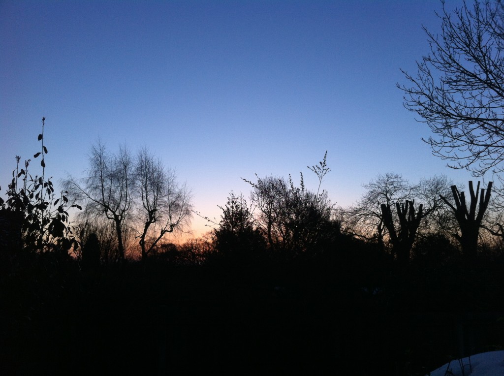 winter dawn
