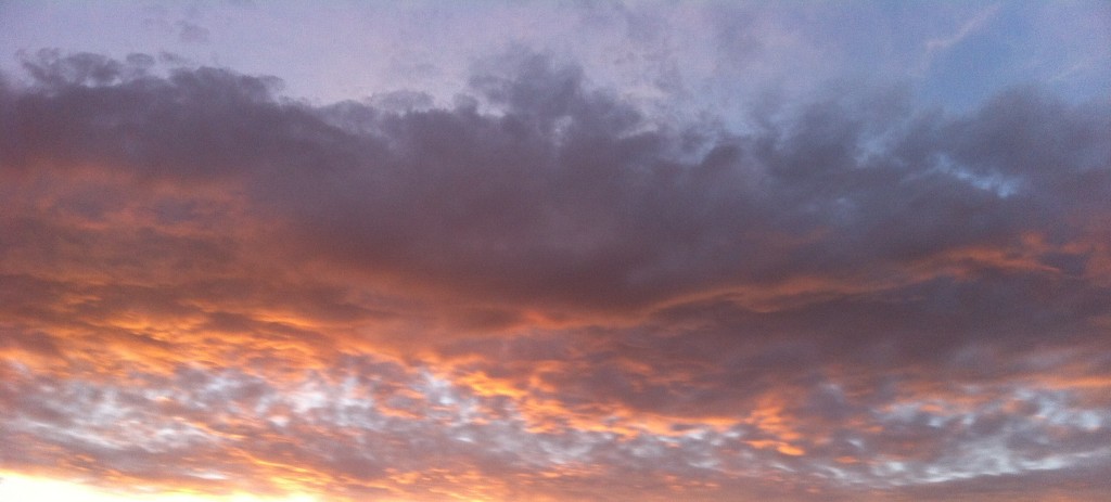 Summer Sunset